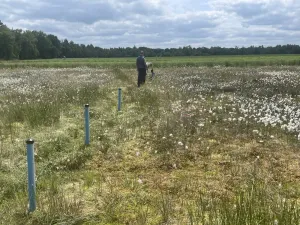 Wasserpegel auslesen © Greta Gaudig
