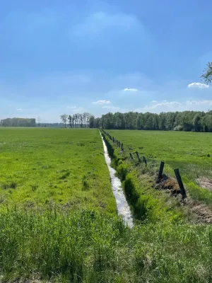 Entwässerungskanal im Campemoor © Fiona Hasenbach