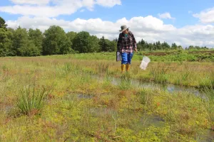 Libellenfang © Greta Gaudig