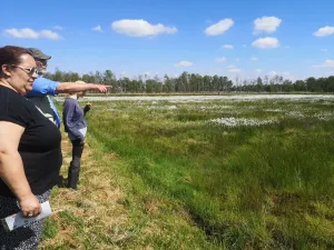 Führung im Barver Moor © Pia Müller