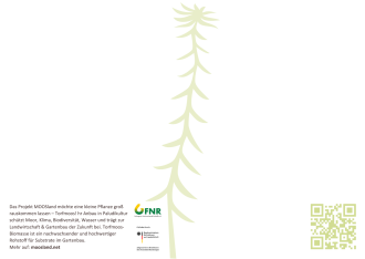 Postkarte Rückseite (A6)